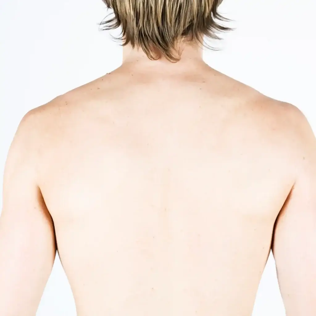 Aftercare & Maintenance